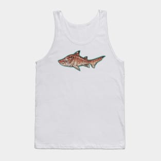 Tiger Shark (Tabby Shark?) Tank Top